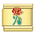 Rose Branch