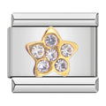 Golden Star with CZ - Silver Charm