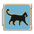 Black Cat Walking