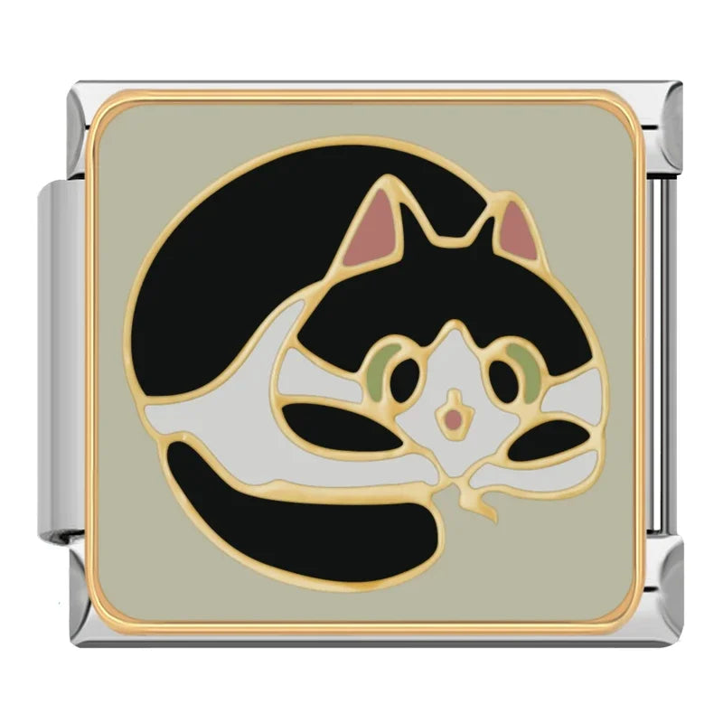 Chubby Black and White Cat