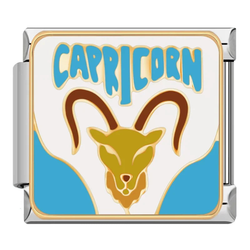 Capricorn Charm