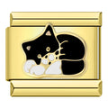 Black and White Cat
