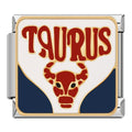 Taurus Charm