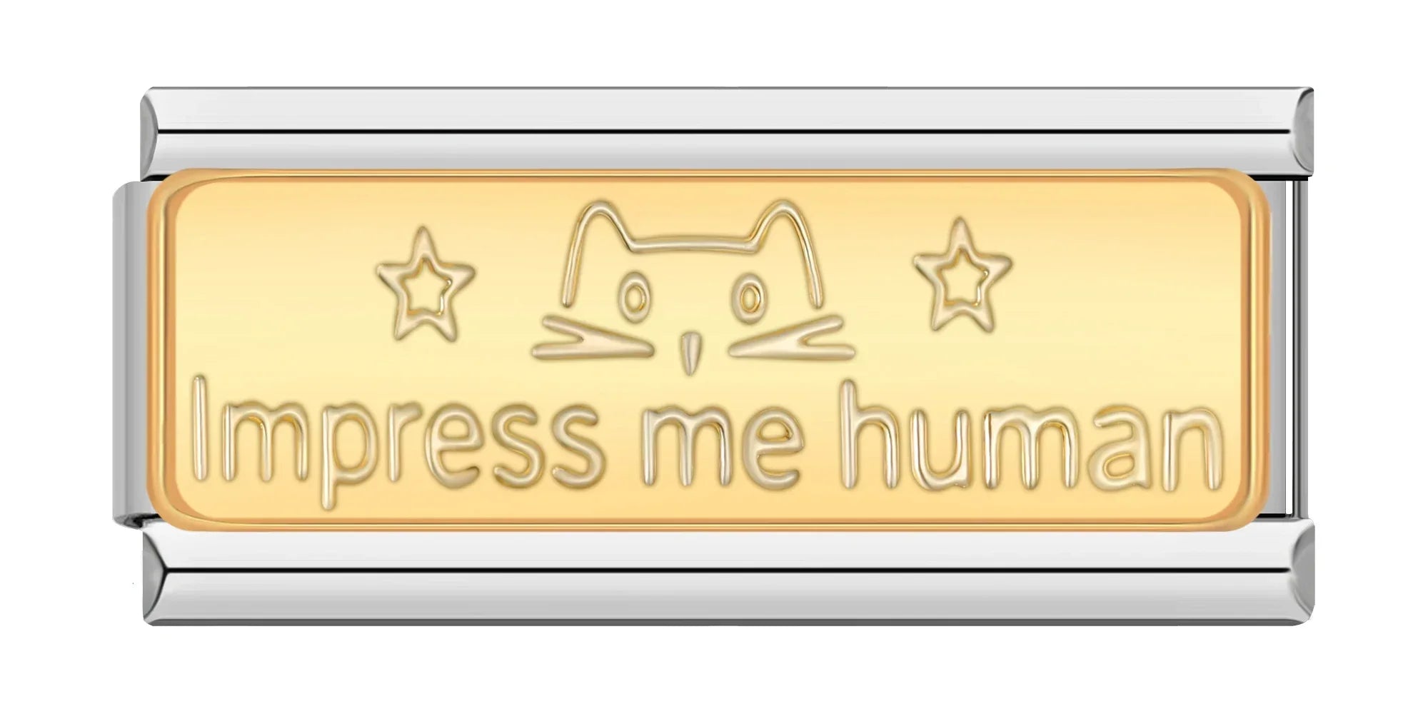 Impress me human - Silver Bar Charm