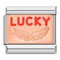 Rose Lucky - Silver Charm