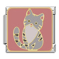 Gray Striped Cat