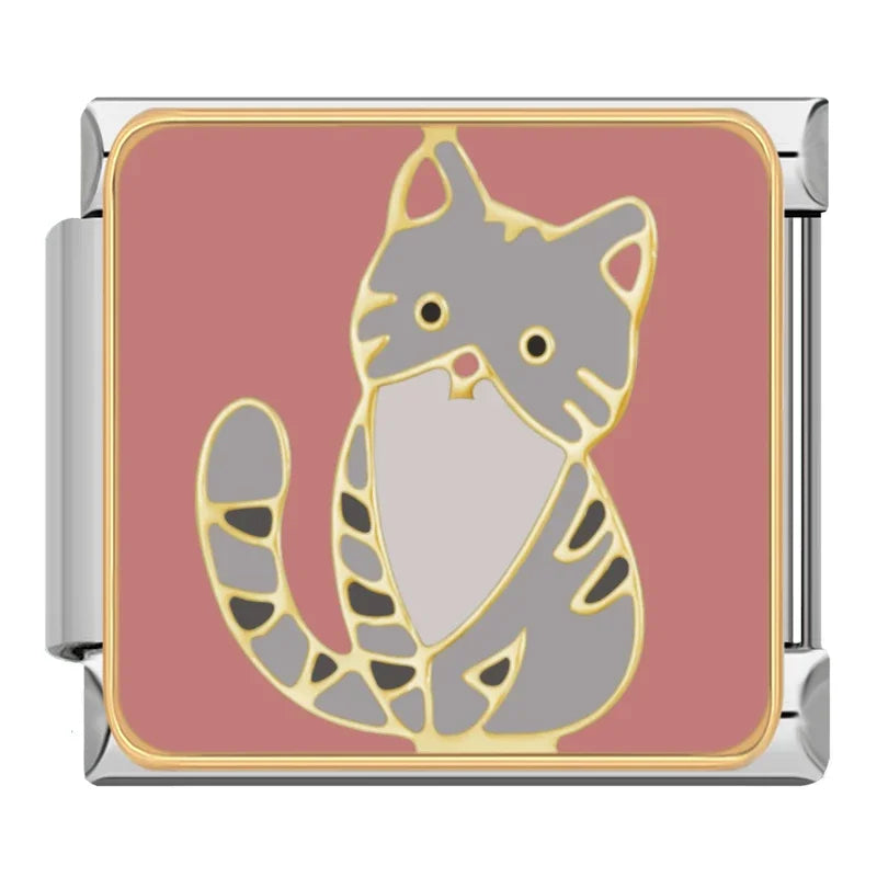 Gray Striped Cat