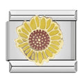 Sunshine Blossom